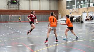 Final Balonmano FECEM -Cerbuna